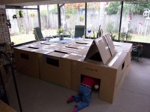 Large, tunneel-style box fort